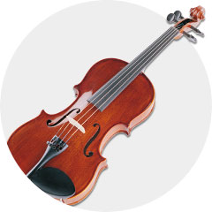 Violin